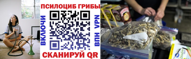 Купить где  Благовещенск  Галлюциногенные грибы Psilocybine cubensis 